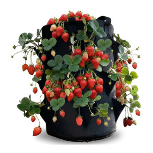 jardin geotextil frutillas 20 litros