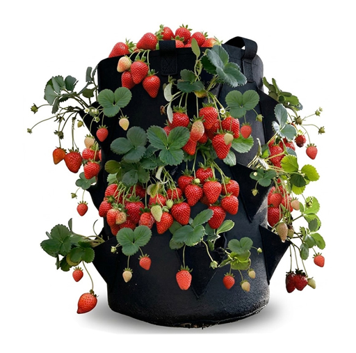 jardin geotextil frutillas 20 litros jardin geotextil frutillas 20 litros